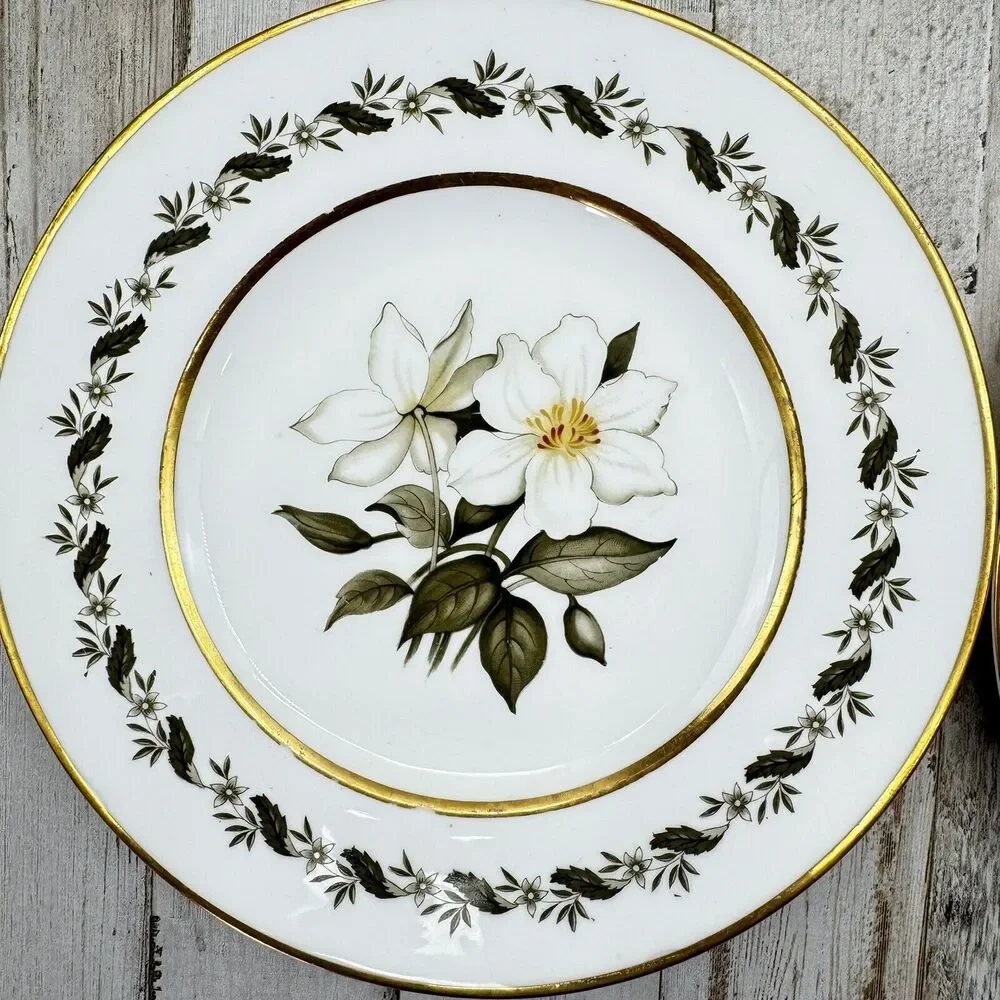 2 Vintage Royal Worcester Bernina 8” Salad Dessert Plates Made In England Flaw
